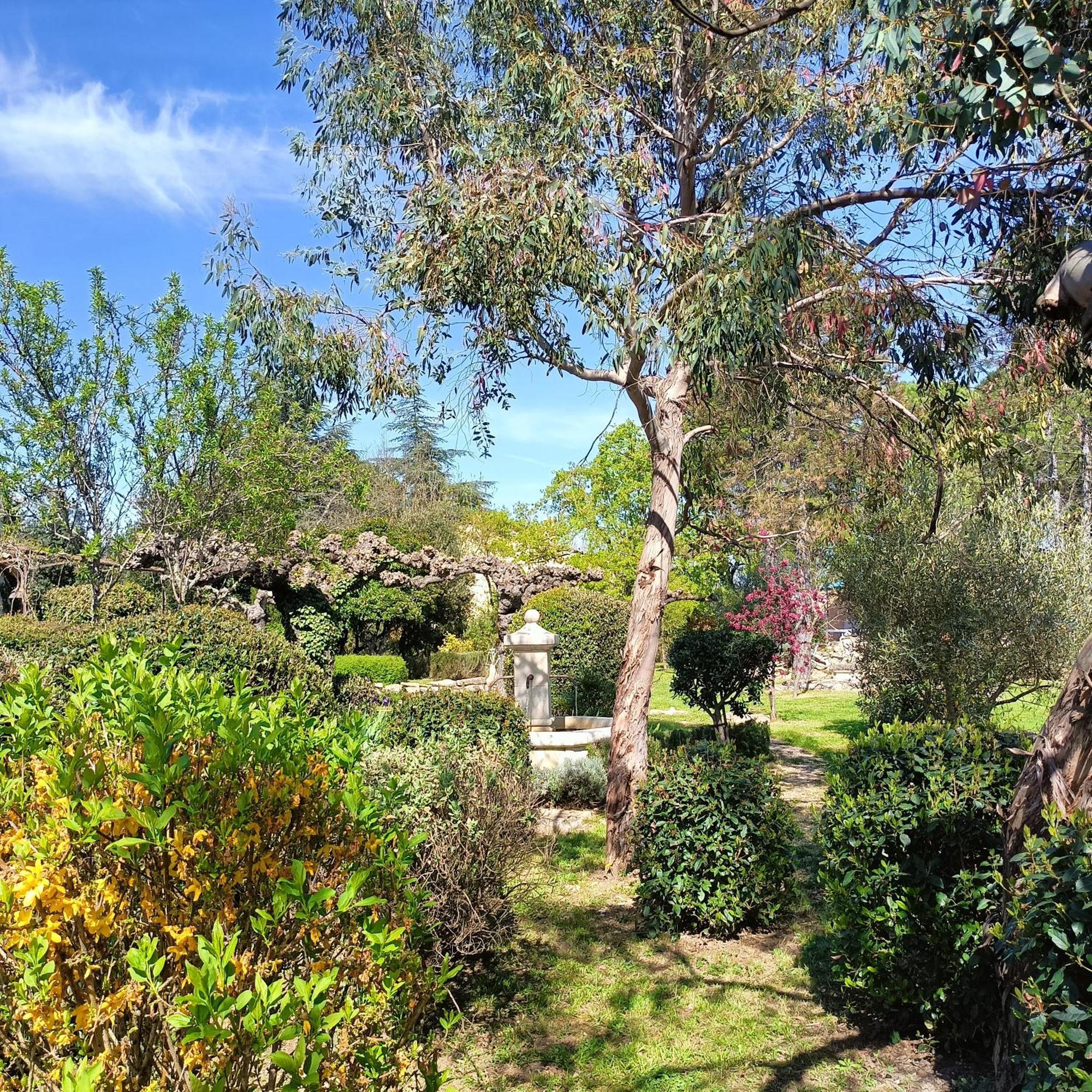 Chandolas L'Arbre Du Magnan 빌라 외부 사진
